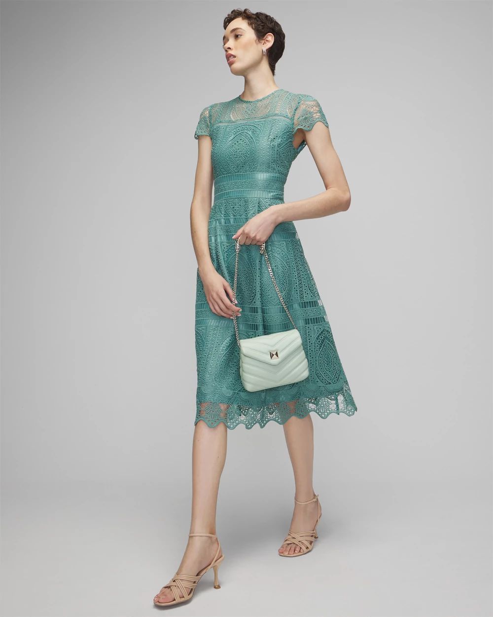Embroidered Lace Fit and Flare Dress
